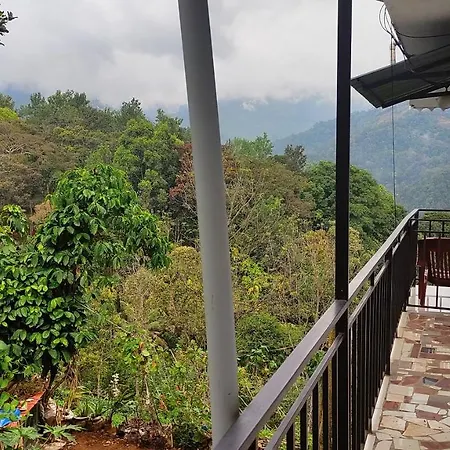 Green Tea View-3