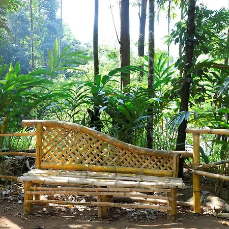 Casillda Munnar-3