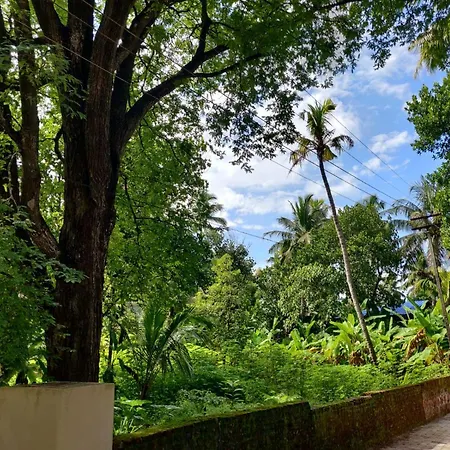 Mavila Beach Resort, Kerala'S Heritage Temple Villa-3