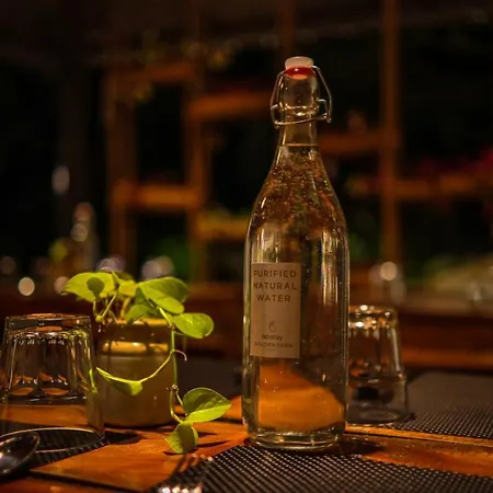 Golden Fern Resort-2