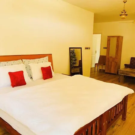 Zen Kochi Boutique Home-3