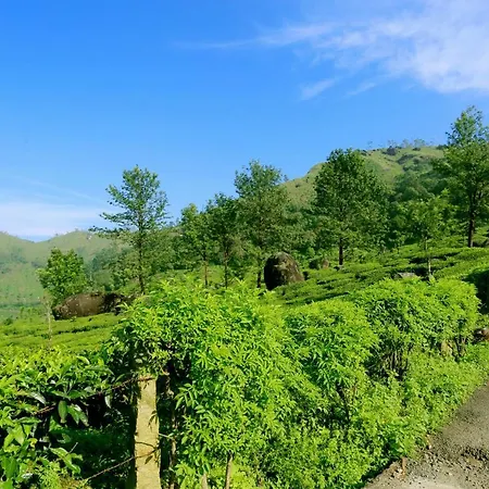 Green Magic Home-2