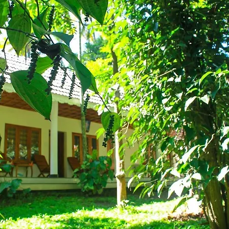 Green Court Cottages-2