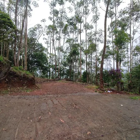 Memmsta Golden Resort Munnar-3