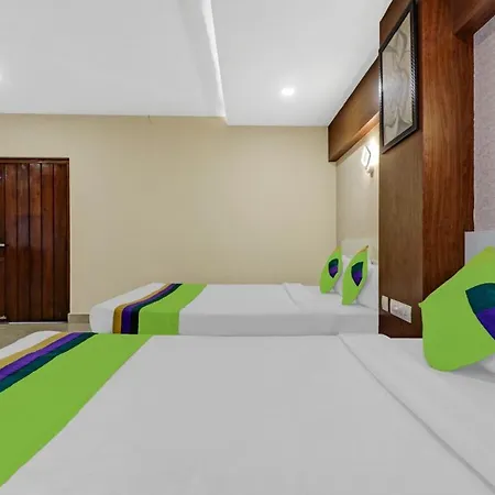 Treebo Darwesh Residency - 500M From Railway Station-3