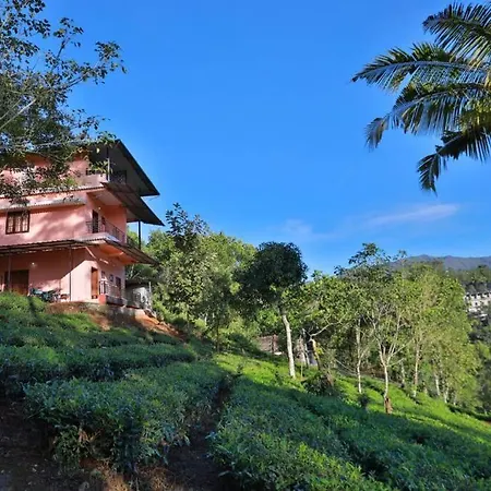 5 Bedroom In Munnar-2