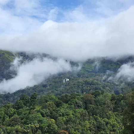 Cherry Blossom Munnar- 2 Bedroom Homestay-3