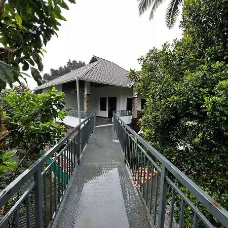 Cherry Blossom Munnar- 2 Bedroom Homestay-2