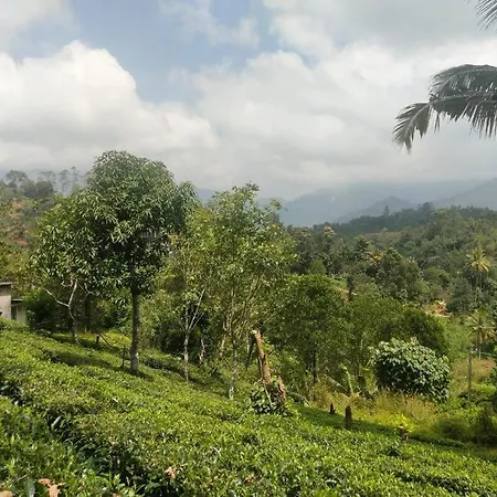 4 Bedroom With Mountain View-3