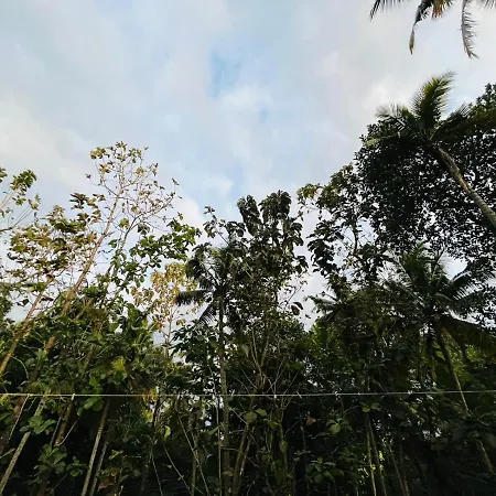 Firefly Homestay-2