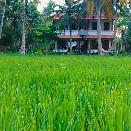 Paddy Farm Heritage-2