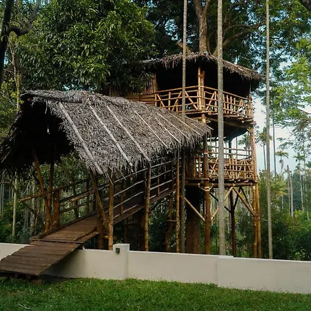 Vanajyotsna Forest Home-2