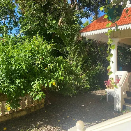 Mango Villa-3