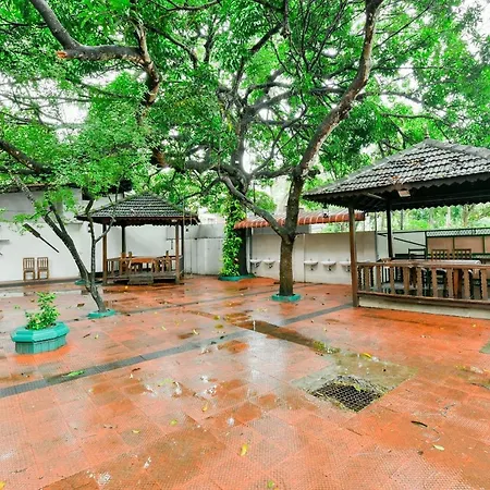 Collection O Green Aura Resort Alappuzha-3