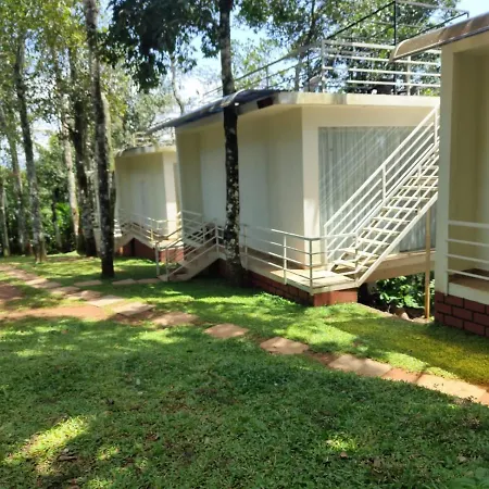 Grand Trees Munnar-3