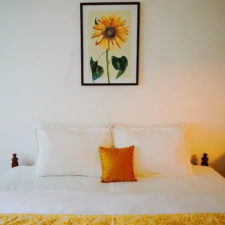Fortis Rooms-3