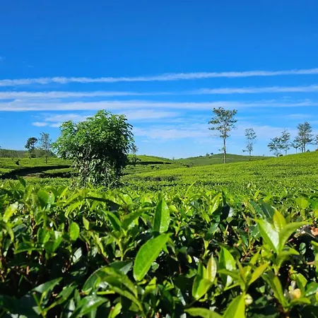 Zen Sidhartha Hill Resort Wagamon-3