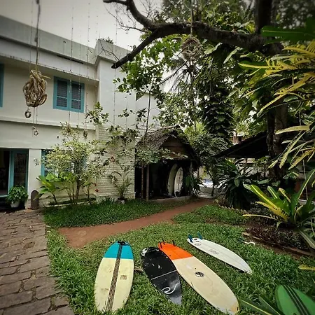 Paddle Cult-3