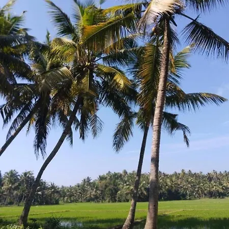 Paddy Farm House-2