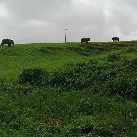 View Valley Homestay-2