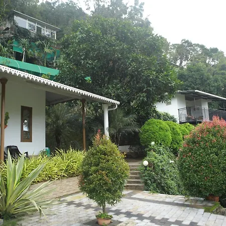 Theeram Agro Farm Hill Resort Pool Villa Vagamon-2