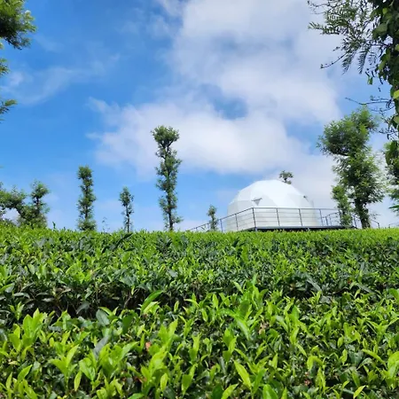 Vythiri Tea Valley I Best Hotel In Wayanad L Hotels In Vythiri Wayanad-2