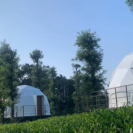 Vythiri Tea Valley I Best Hotel In Wayanad L Hotels In Vythiri Wayanad-3