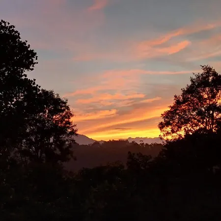 3R Residency Anachal Munnar-2