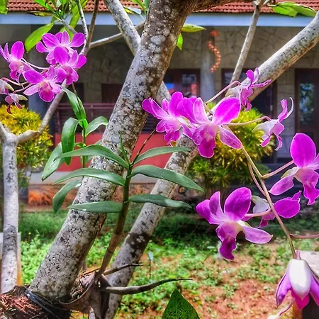 Vedic Heritage Boutique Hotel-3