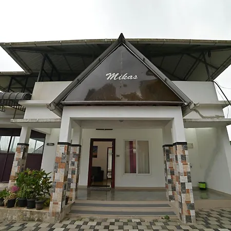Mikas-2