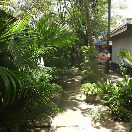 Alleppey Beach Garden-3