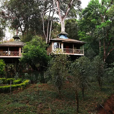 Nature Zone Munnar - A Real Jungle Resort - Authentic Tree House And Premium Tents-3