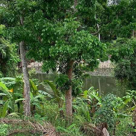 Nirvana Home Stay Tvm -Allure-2