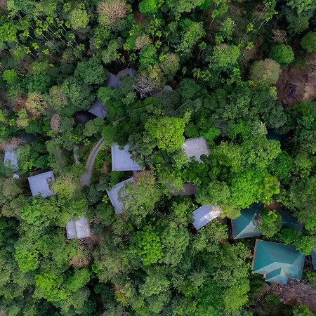 The Hive Wayanad-2