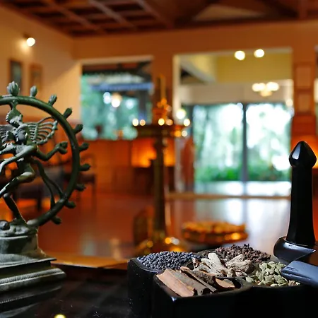Greenwoods Thekkady - A Five Star Classified Resort-3
