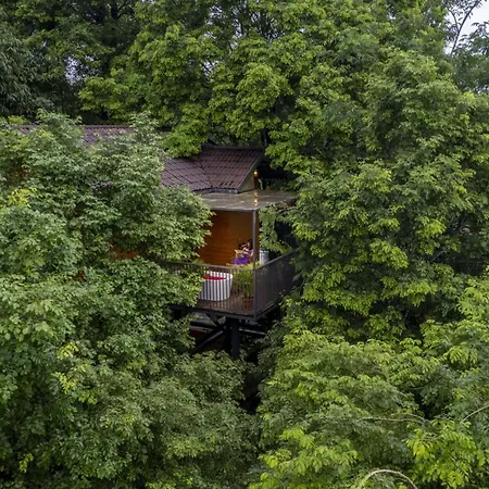 Crystal Kuruva Nature Resort & Spa-3