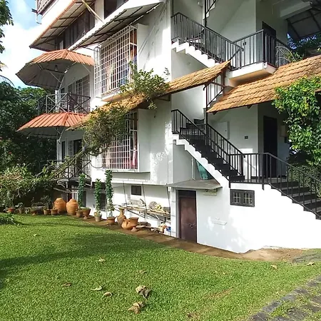 Pearl Spot-2