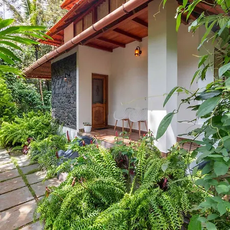 Serene Valley Resort Wayanad-3