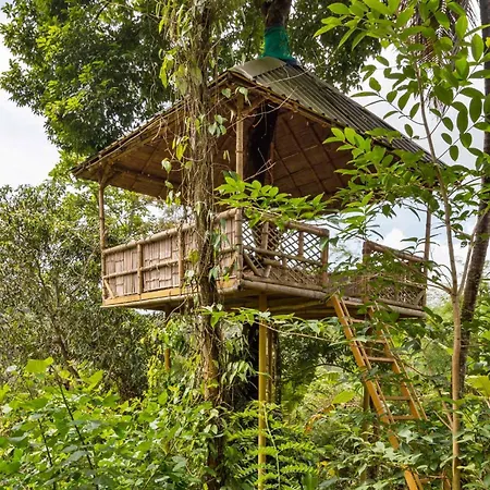 Serene Valley Resort Wayanad-2
