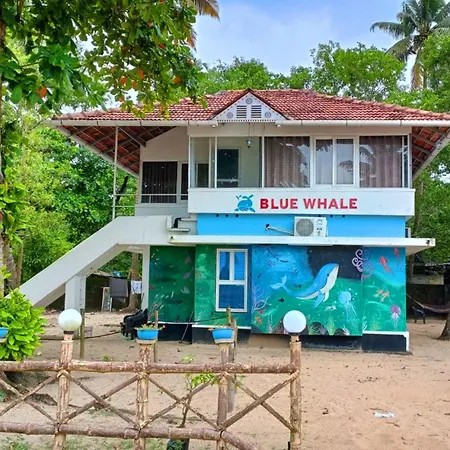 Marari Blue Whale Beach House-2