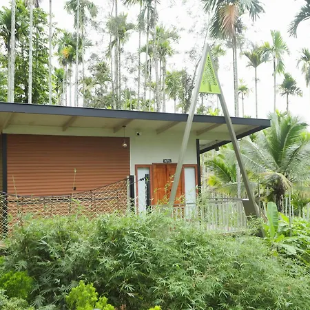 Paddy View Resort Wayanad-2