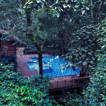 Vythiri Mist Resort-3