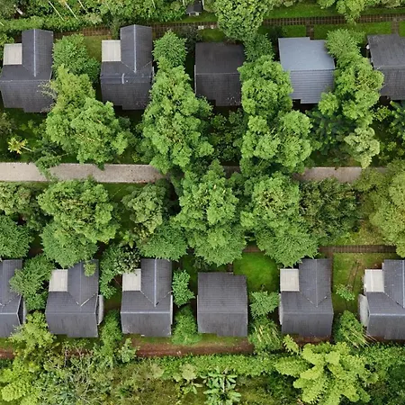 Coffee Greens Resort-3