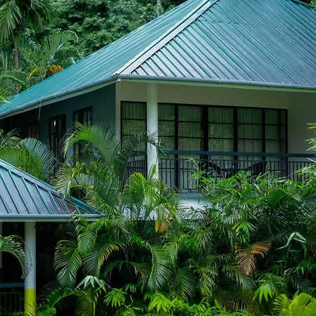 The Hive Wayanad-3