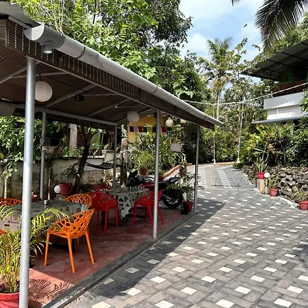 Standard Stay-3