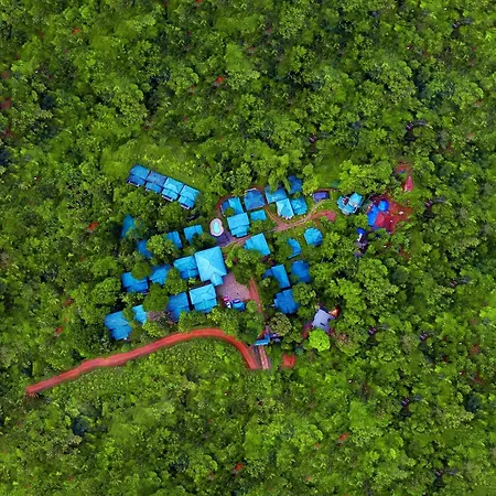 Lakkidi Village Resort Wayanad-3
