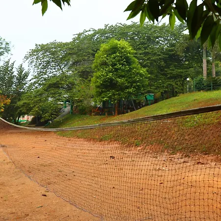 Wayanad Cave N Pillar Resort-3