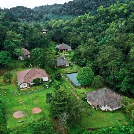 Abad Brookside Wayanad-3