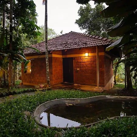 Raindrops Resorts Wayanad-2
