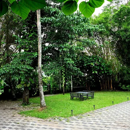 Spring Muunnar, Munnar-2